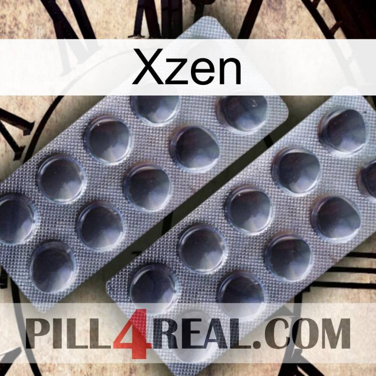 Xzen 31